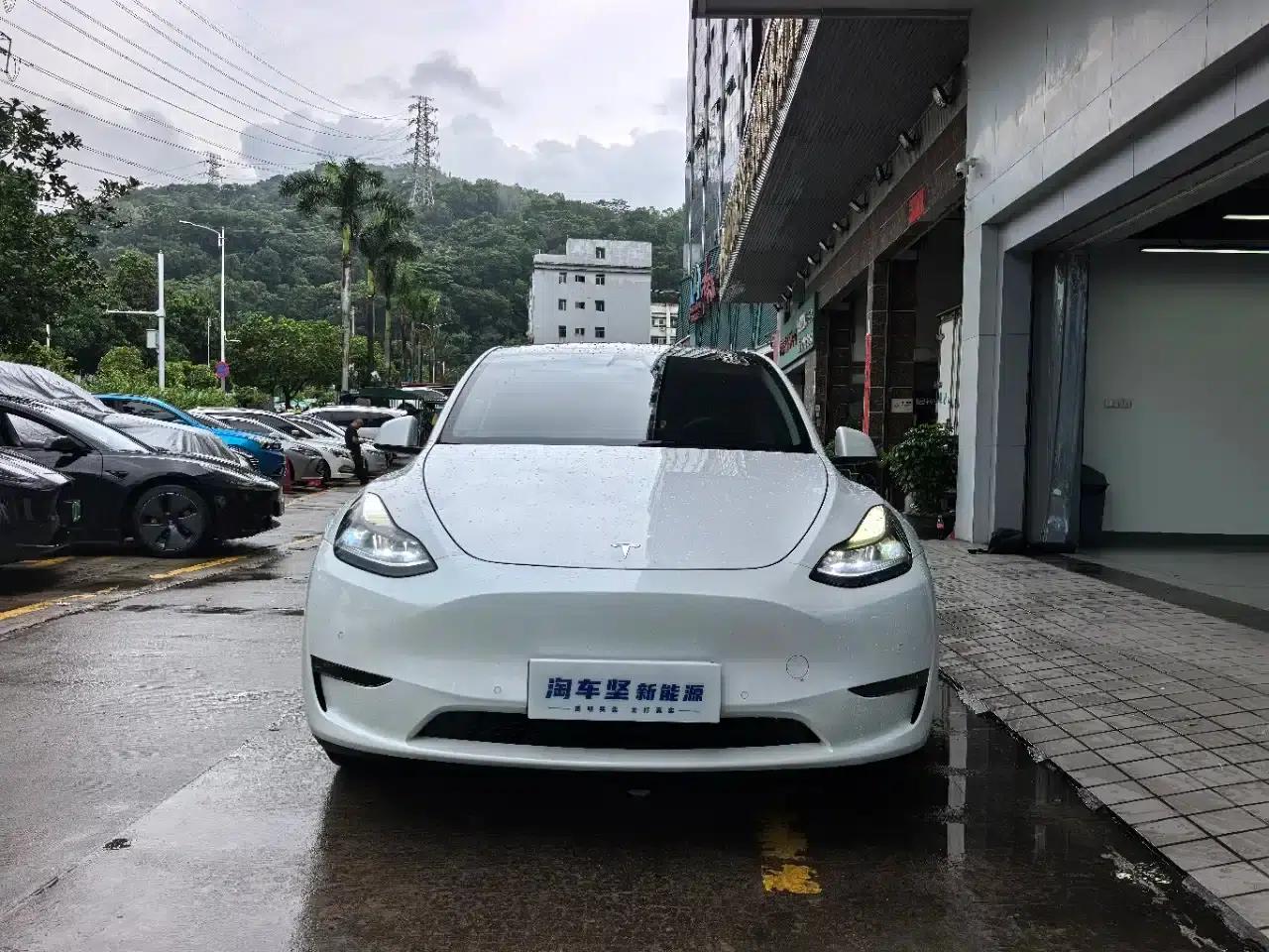 Model Y 2021 Standard Range Rear-Wheel Drive — миниатюра 2