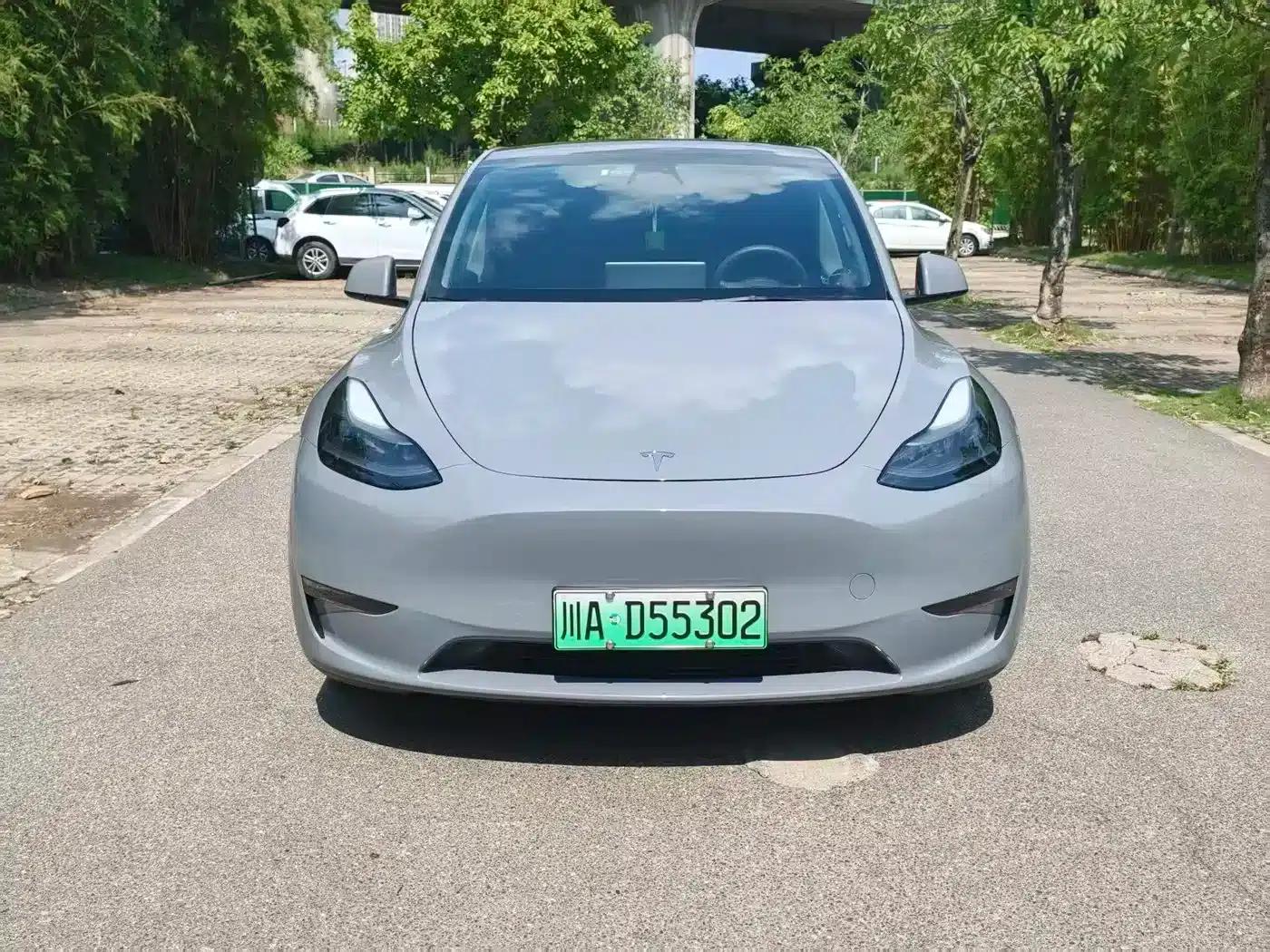 Model Y 2021 Long Range All-Wheel Drive — миниатюра 2