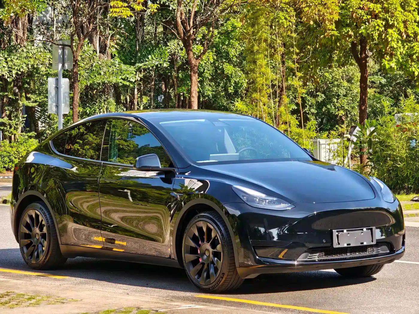 Model Y 2022 Rear-Wheel Drive — миниатюра 3