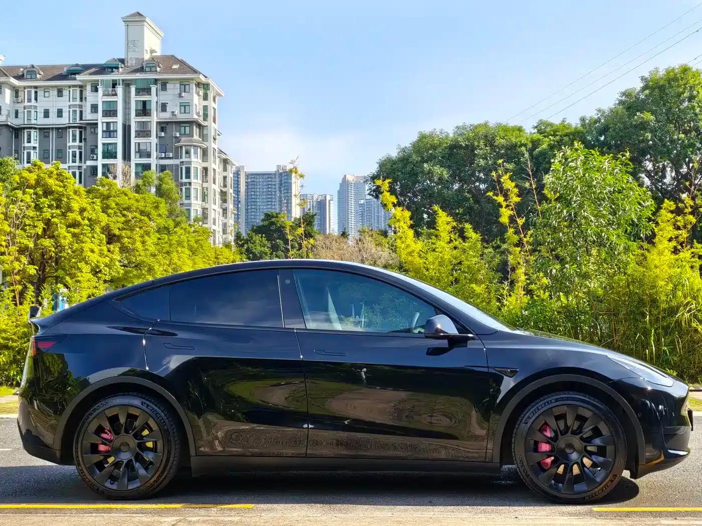Model Y 2022 Rear-Wheel Drive — миниатюра 4
