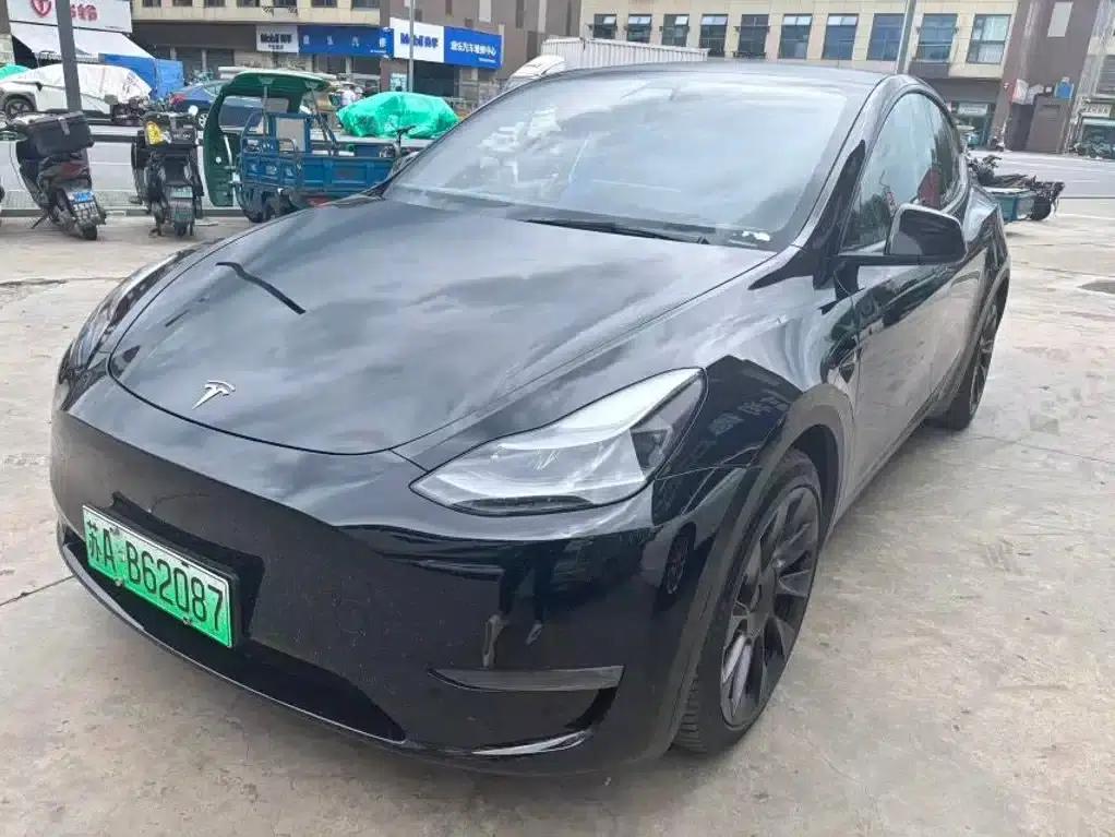 Model Y 2021 Standard Range Rear-Wheel Drive — миниатюра 1