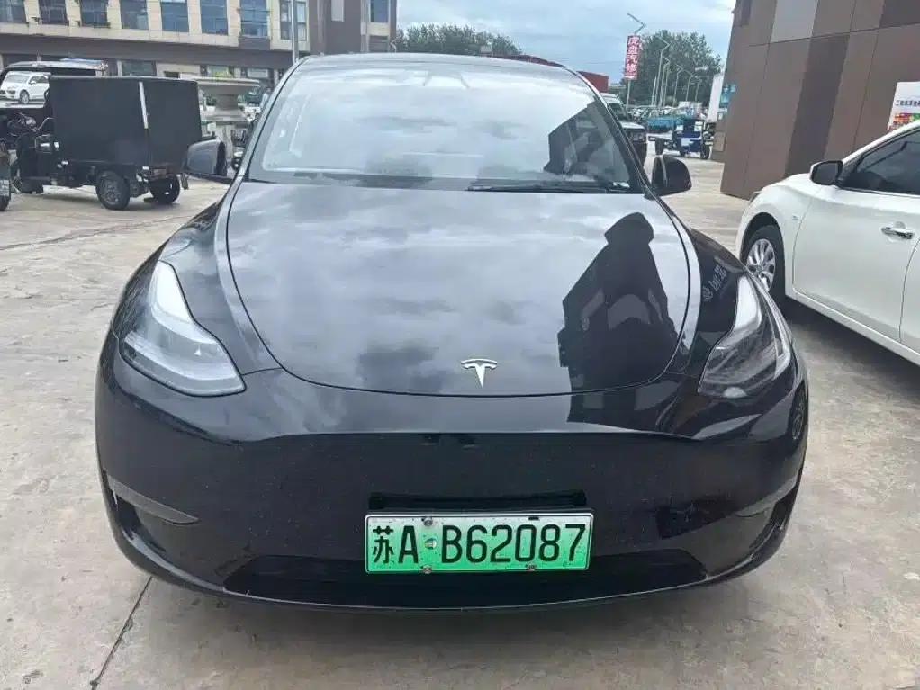 Model Y 2021 Standard Range Rear-Wheel Drive — миниатюра 2
