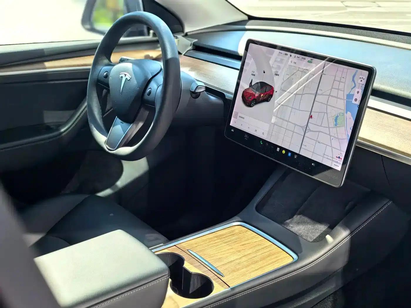Model Y 2021 Long Range All-Wheel Drive 3D7 — миниатюра 11