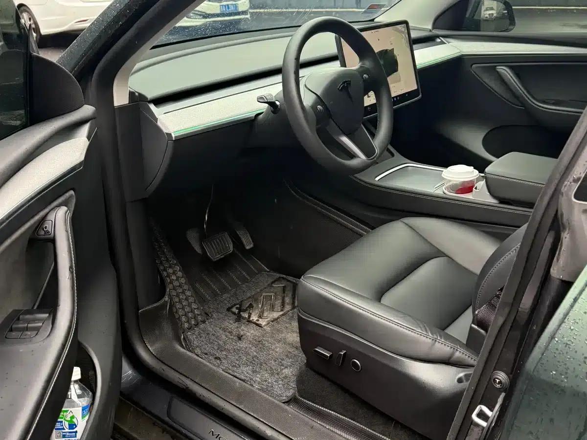 Model Y 2024 Rear-Wheel Drive — миниатюра 4