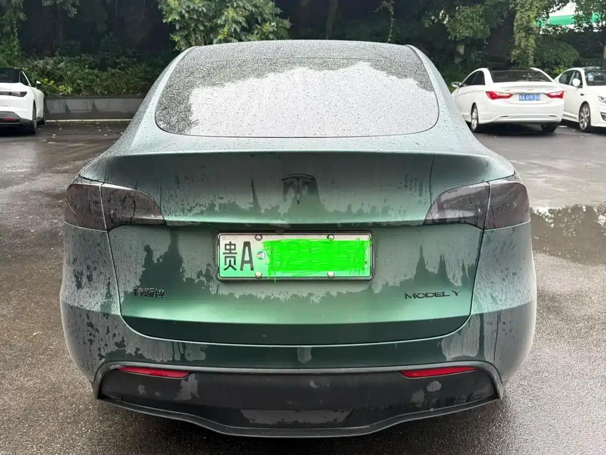 Model Y 2024 Rear-Wheel Drive — миниатюра 9