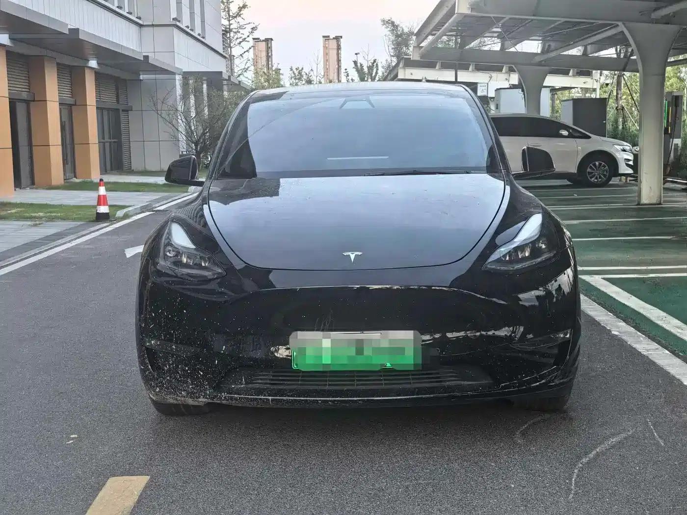 Model Y 2021 Standard Range Rear-Wheel Drive — миниатюра 2