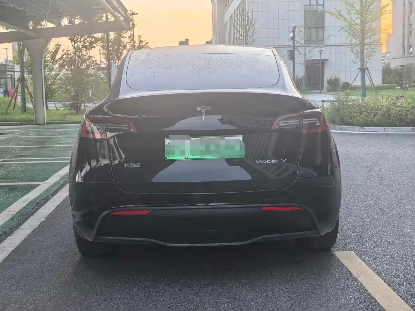 Model Y 2021 Standard Range Rear-Wheel Drive — миниатюра 6