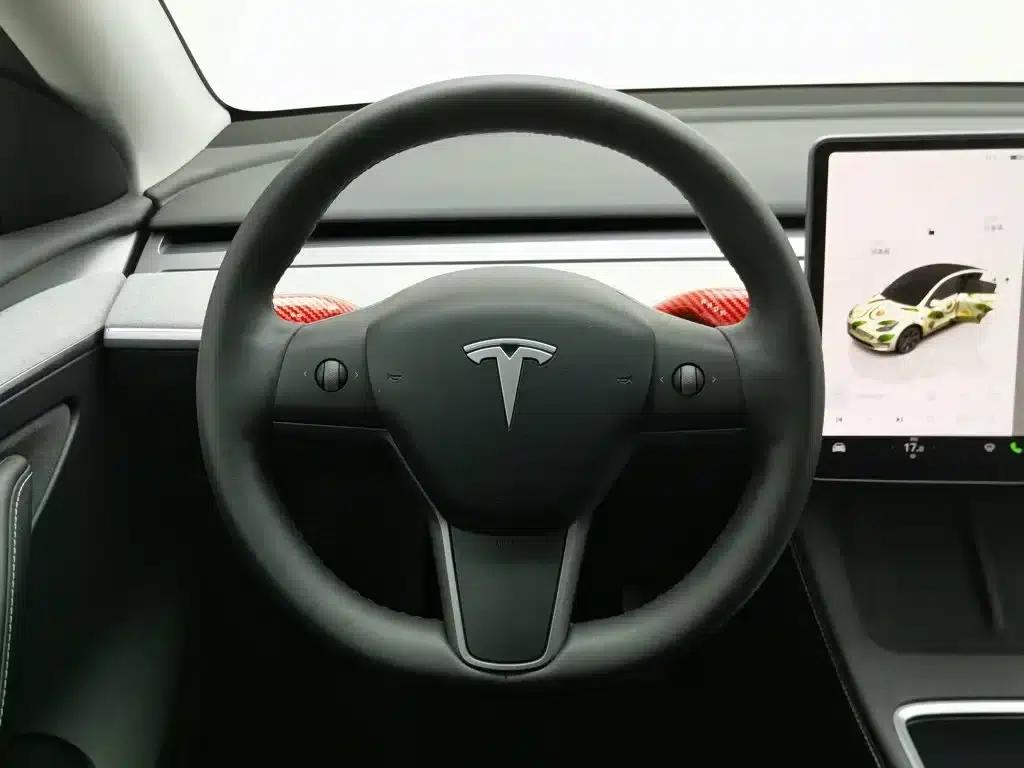 Model Y 2023 Long Range All-Wheel Drive — миниатюра 11