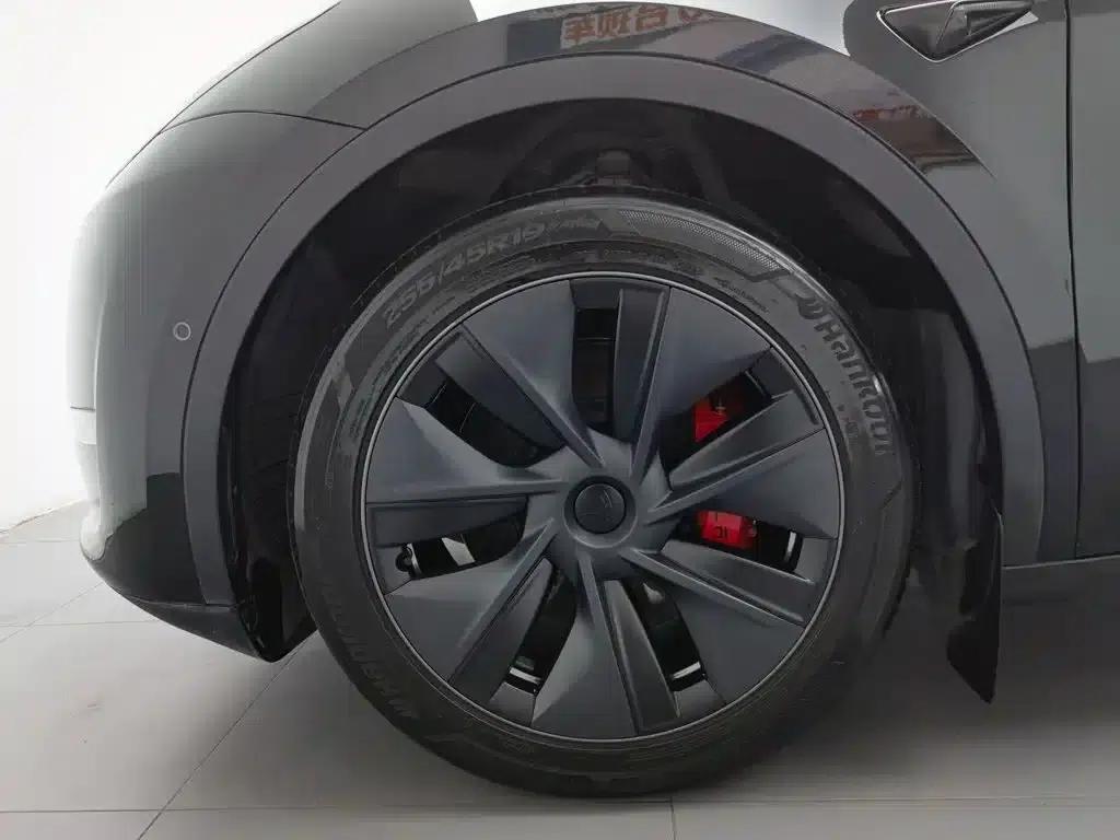 Model Y 2023 Long Range All-Wheel Drive — миниатюра 17