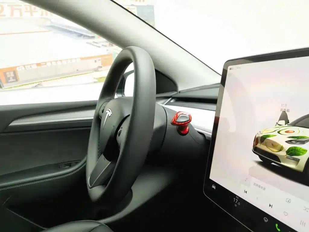 Model Y 2023 Long Range All-Wheel Drive — миниатюра 22