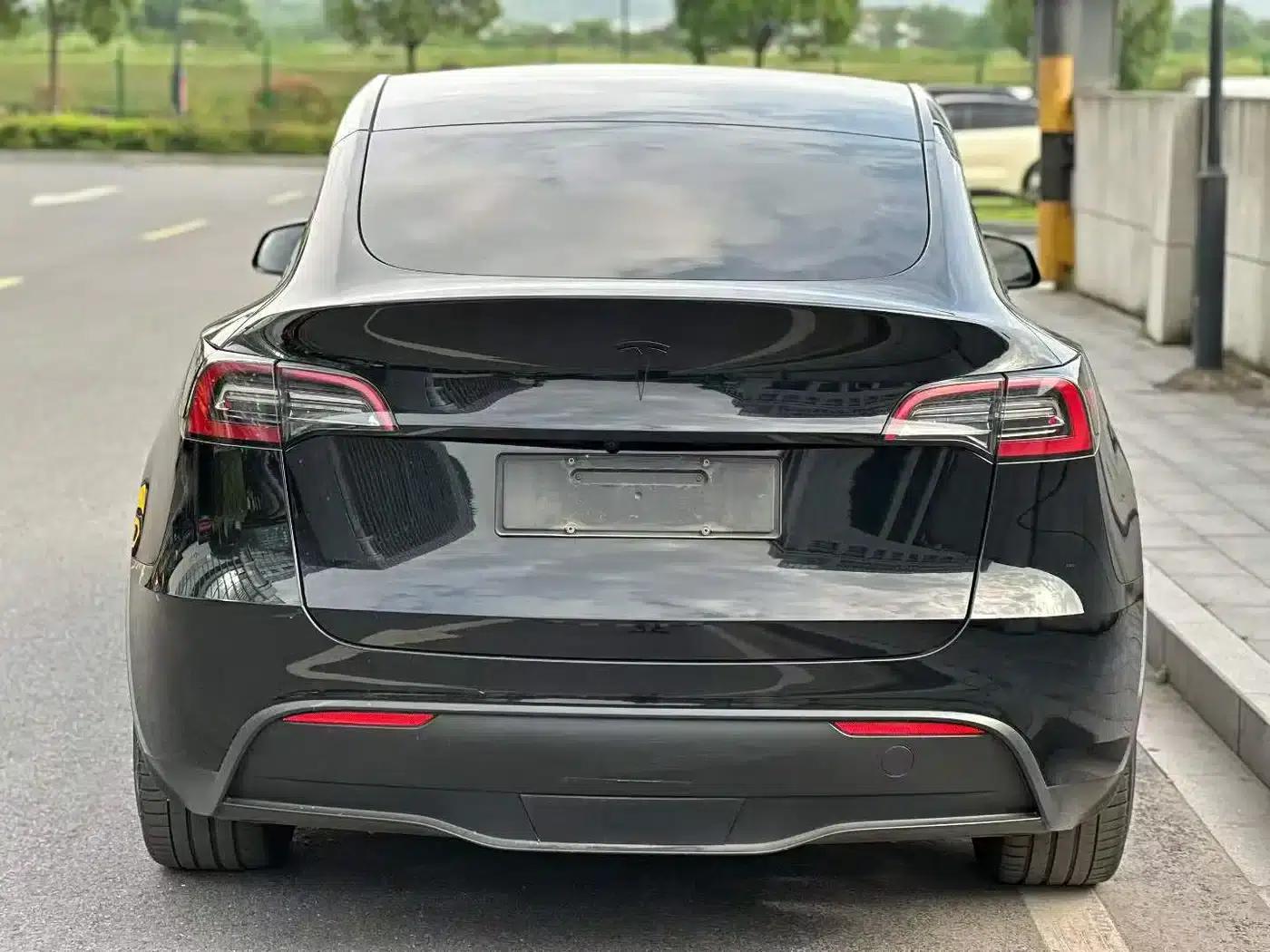 Model Y 2021 Standard Range Rear-Wheel Drive — миниатюра 8