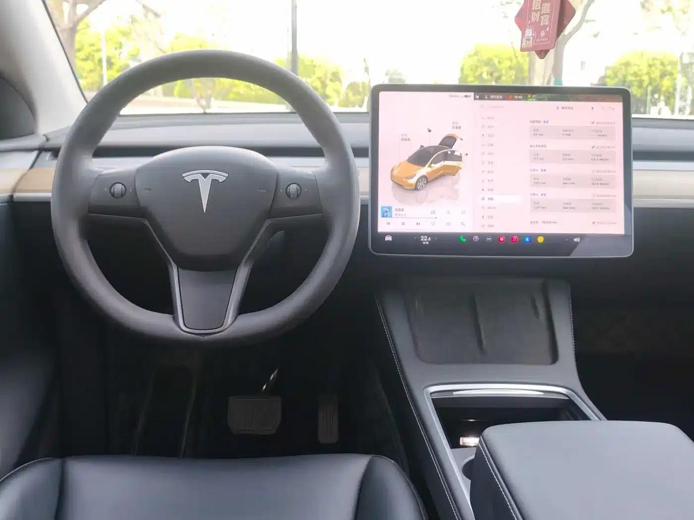Model Y 2022 Rear-Wheel Drive — миниатюра 14