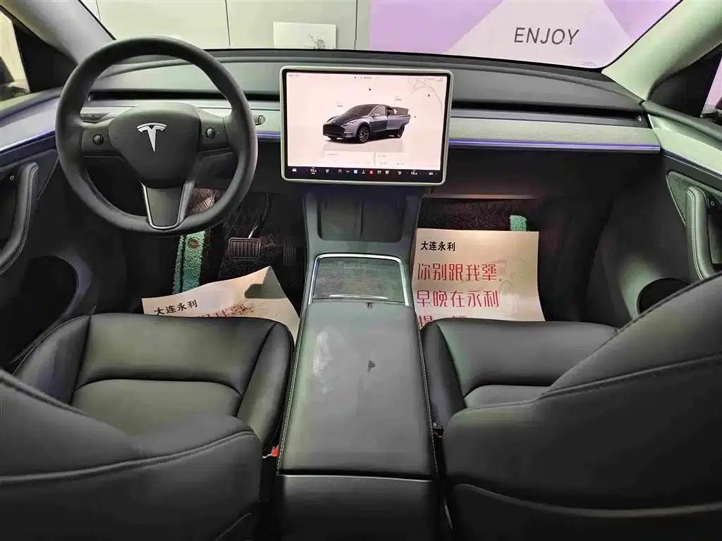 Model Y 2024 Long Range All-Wheel Drive — миниатюра 12