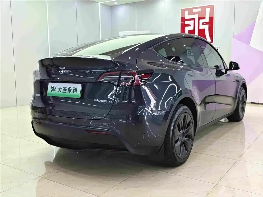 Model Y 2024 Long Range All-Wheel Drive — миниатюра 6