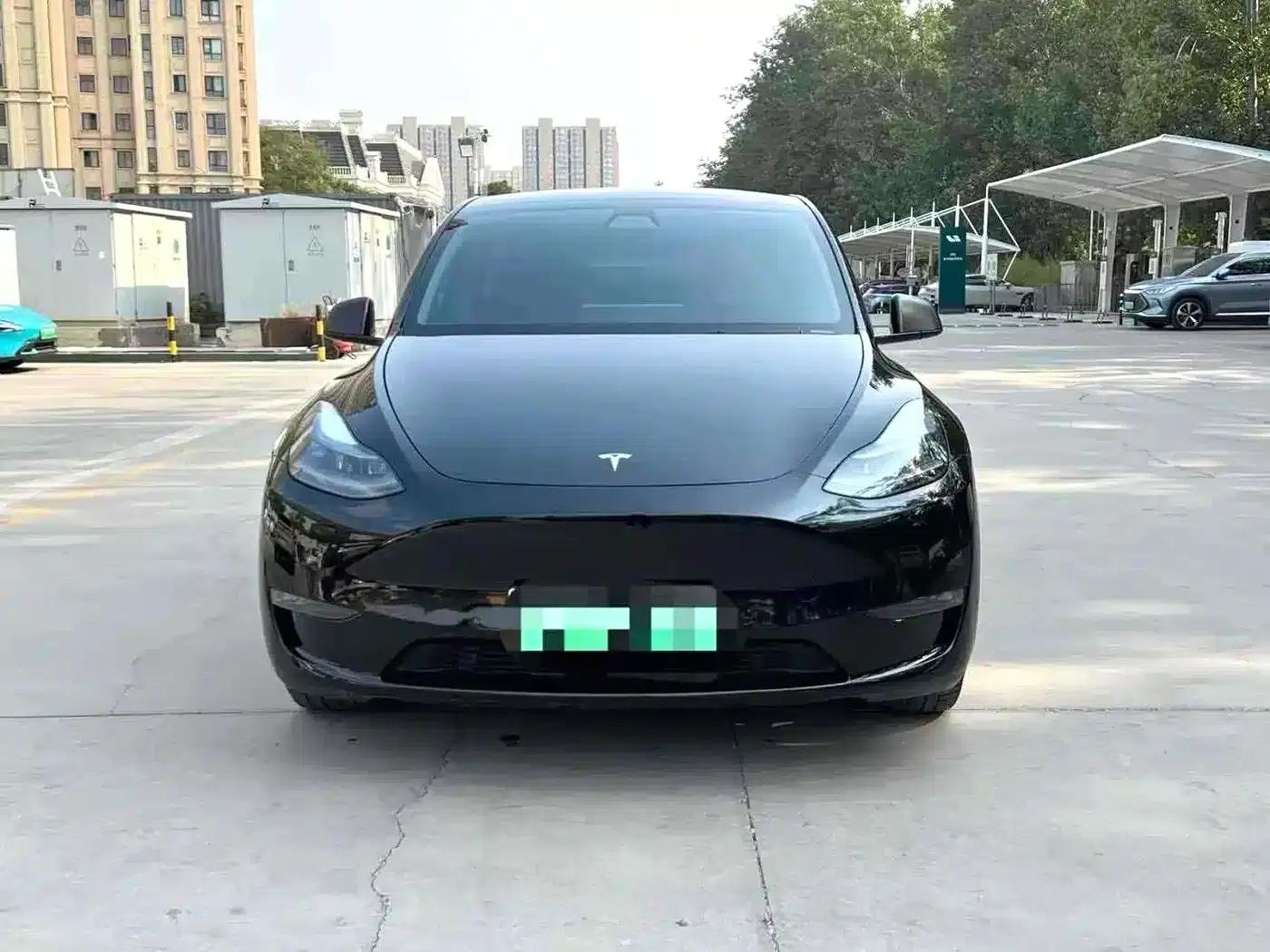 Model Y 2021 Standard Range Rear-Wheel Drive — миниатюра 2