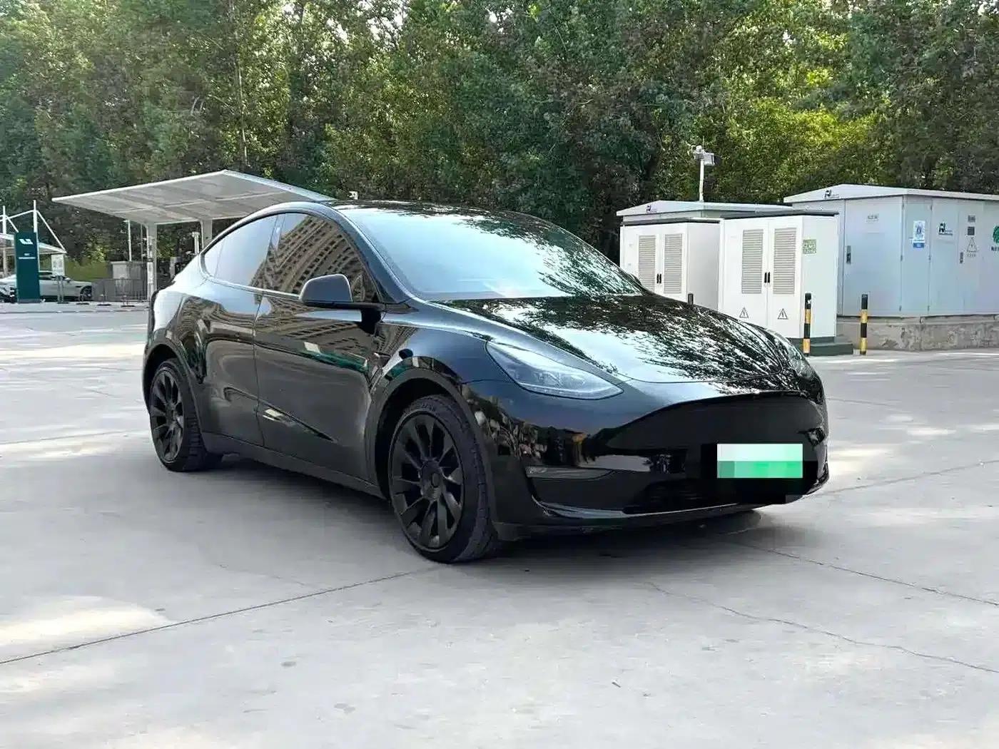 Model Y 2021 Standard Range Rear-Wheel Drive — миниатюра 3