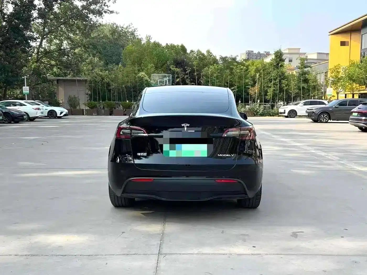 Model Y 2021 Standard Range Rear-Wheel Drive — миниатюра 8
