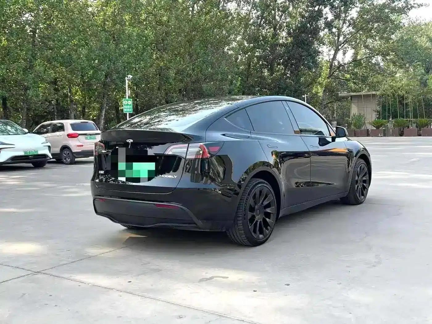 Model Y 2021 Standard Range Rear-Wheel Drive — миниатюра 9