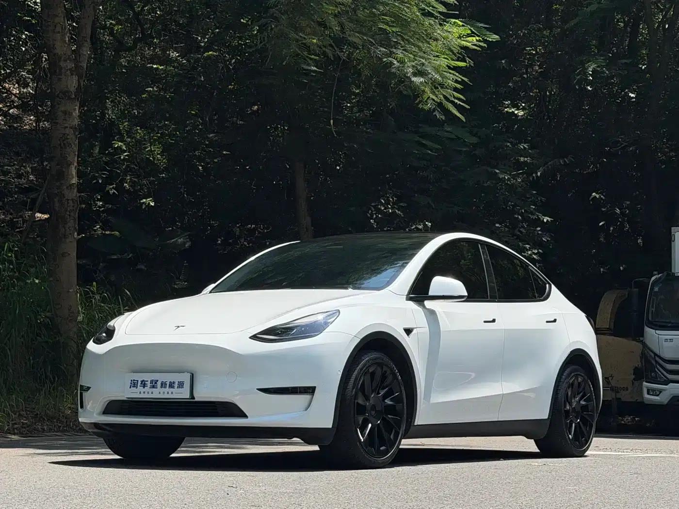 Model Y 2022 Long Range All-Wheel Drive — миниатюра 1