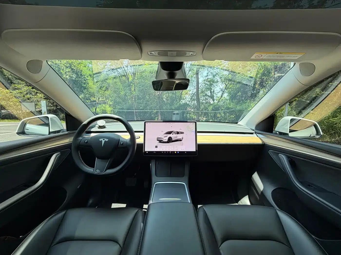 Model Y 2022 Long Range All-Wheel Drive — миниатюра 11