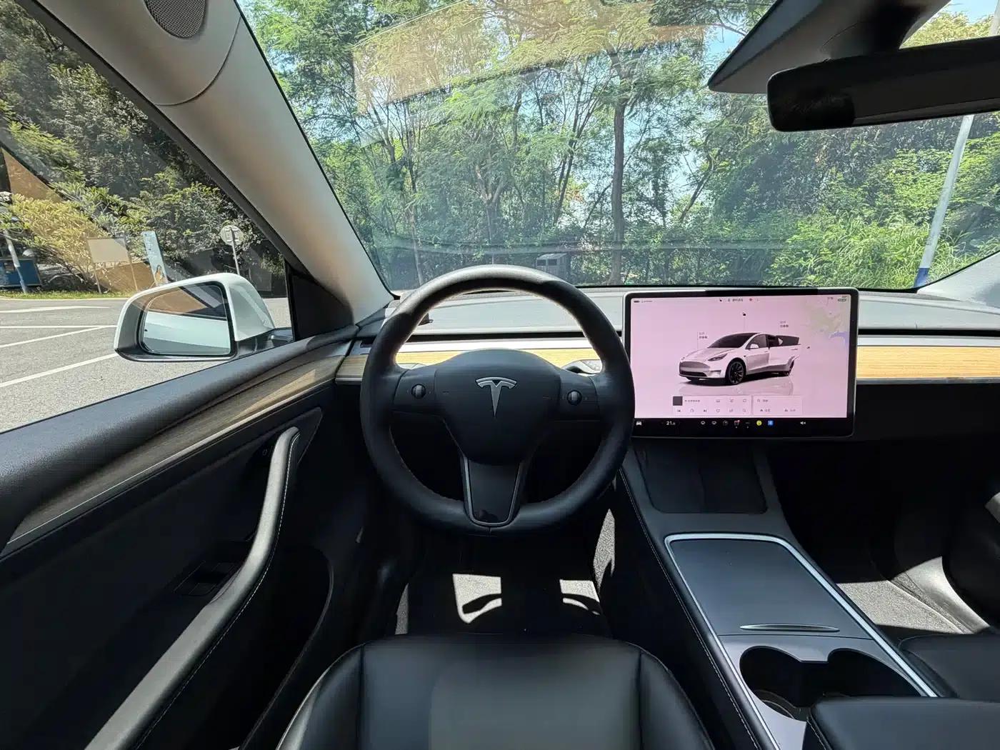 Model Y 2022 Long Range All-Wheel Drive — миниатюра 12