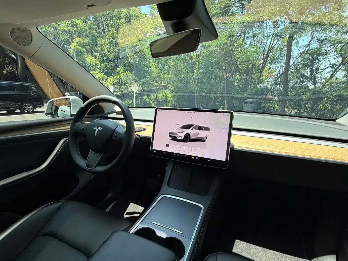 Model Y 2022 Long Range All-Wheel Drive — миниатюра 13