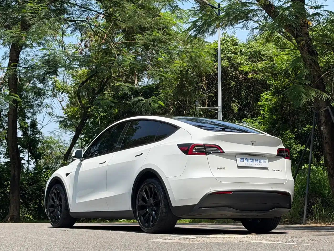 Model Y 2022 Long Range All-Wheel Drive — миниатюра 3