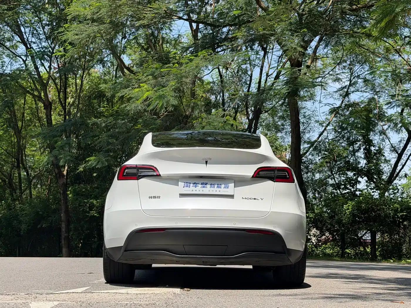 Model Y 2022 Long Range All-Wheel Drive — миниатюра 5