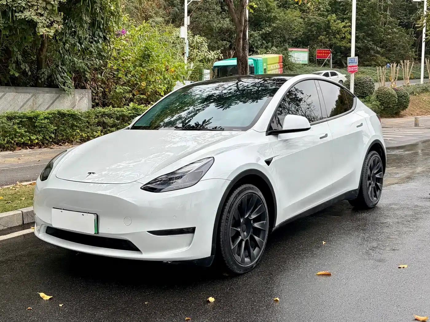 Model Y 2022 Long Range All-Wheel Drive — миниатюра 1