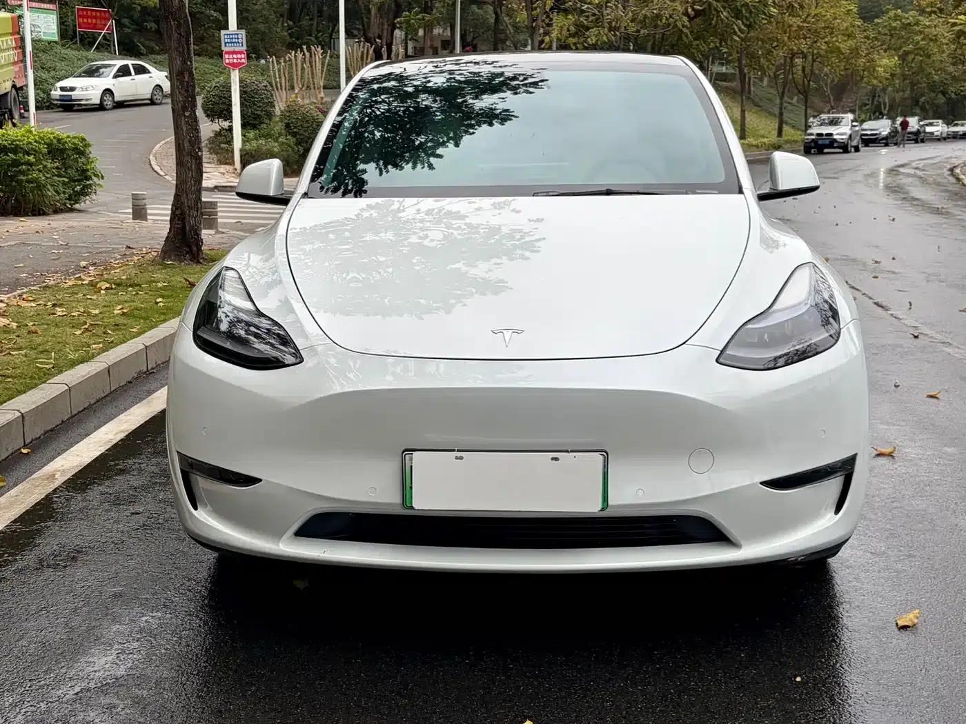 Model Y 2022 Long Range All-Wheel Drive — миниатюра 2