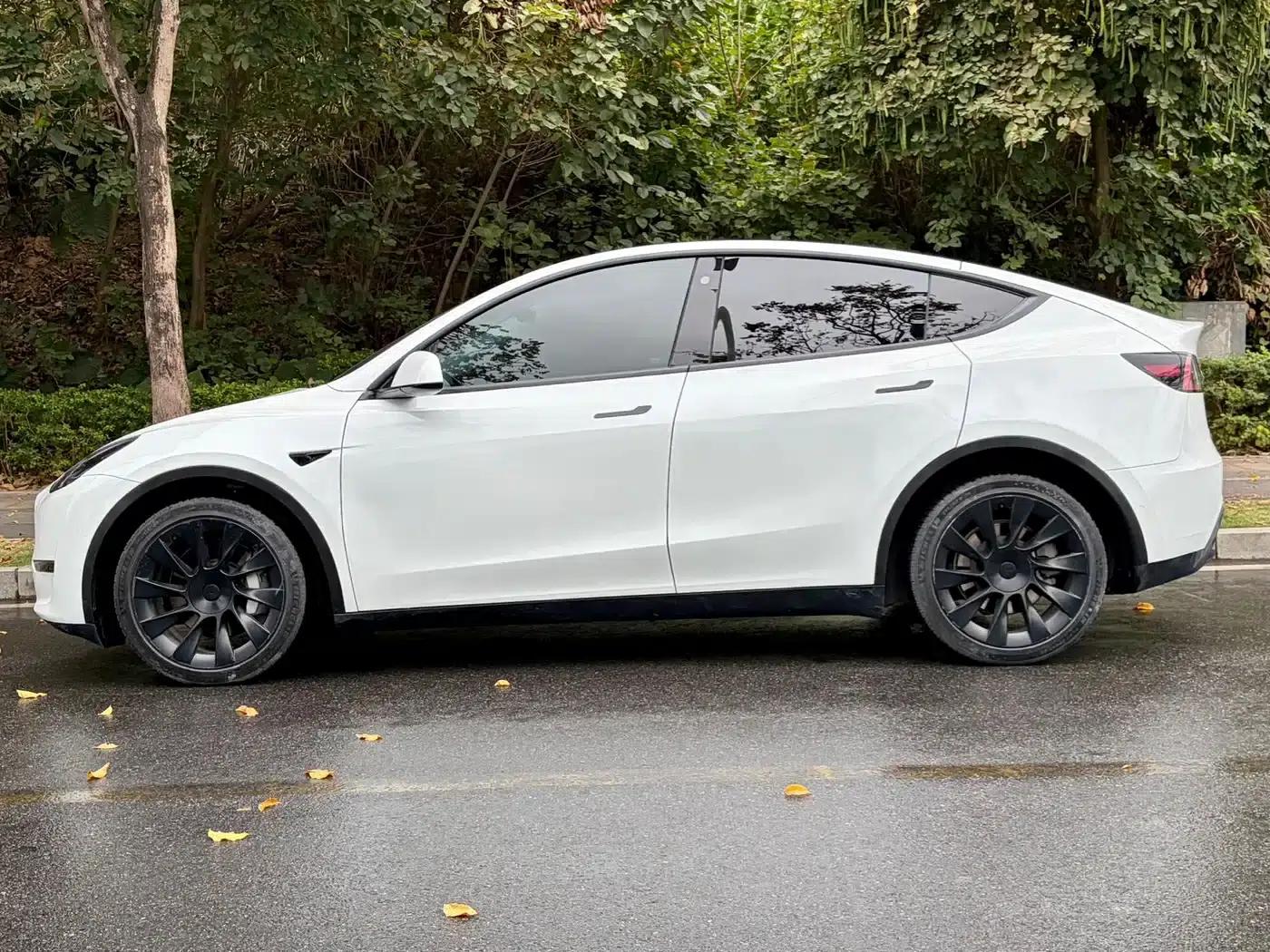 Model Y 2022 Long Range All-Wheel Drive — миниатюра 6