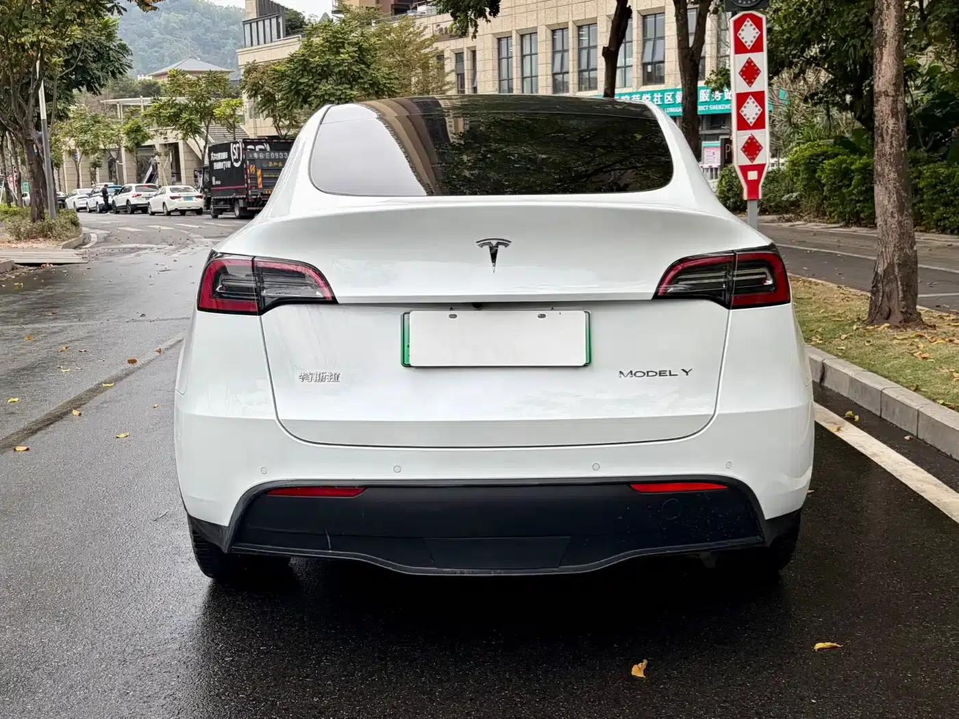 Model Y 2022 Long Range All-Wheel Drive — миниатюра 7