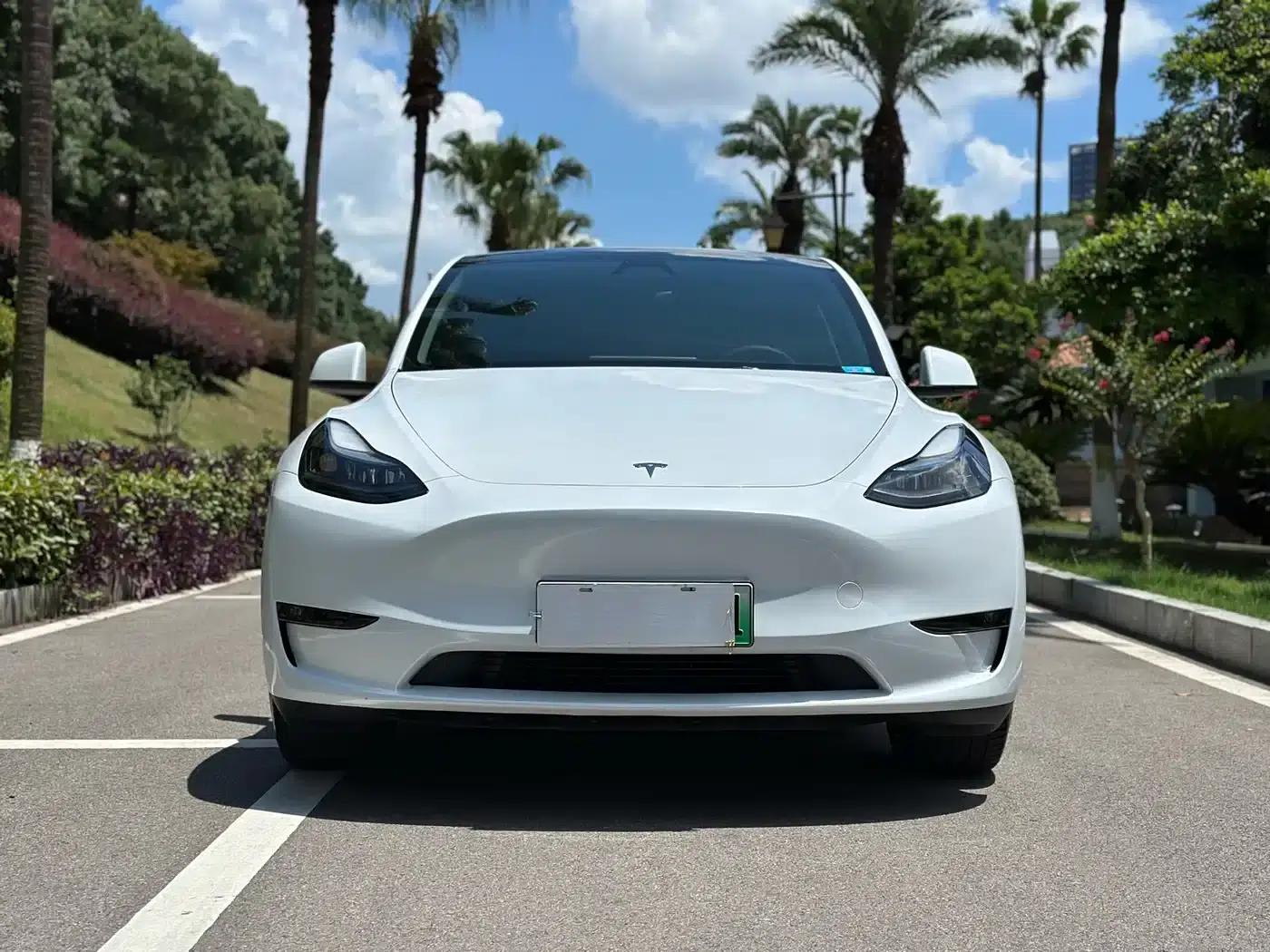 Model Y 2024 Long Range All-Wheel Drive — миниатюра 2