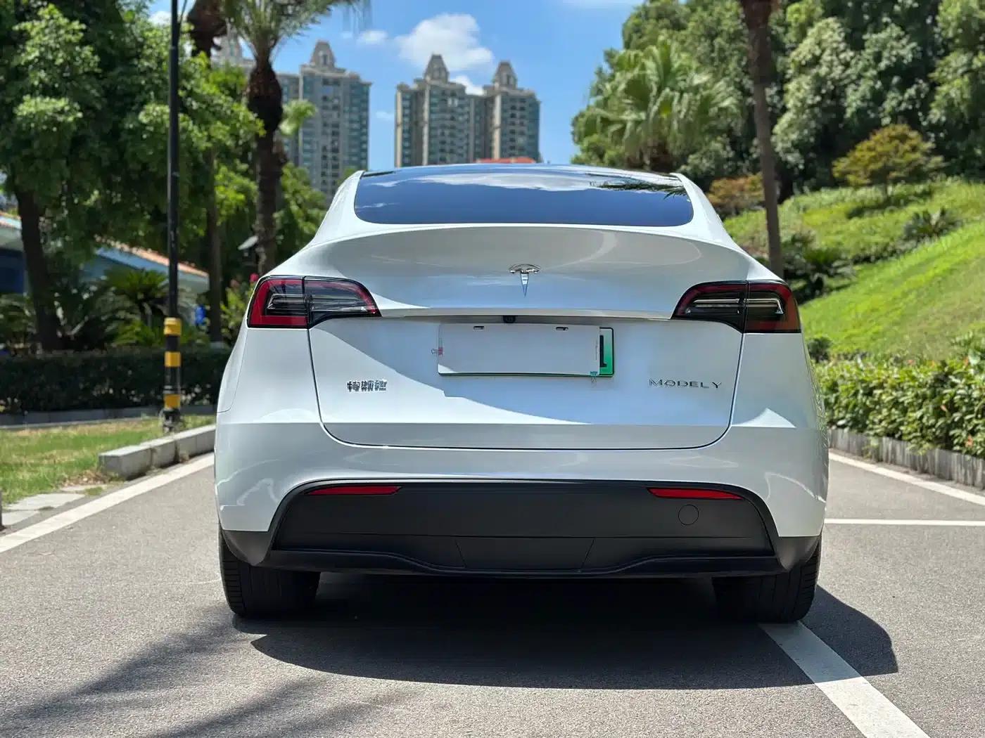 Model Y 2024 Long Range All-Wheel Drive — миниатюра 15