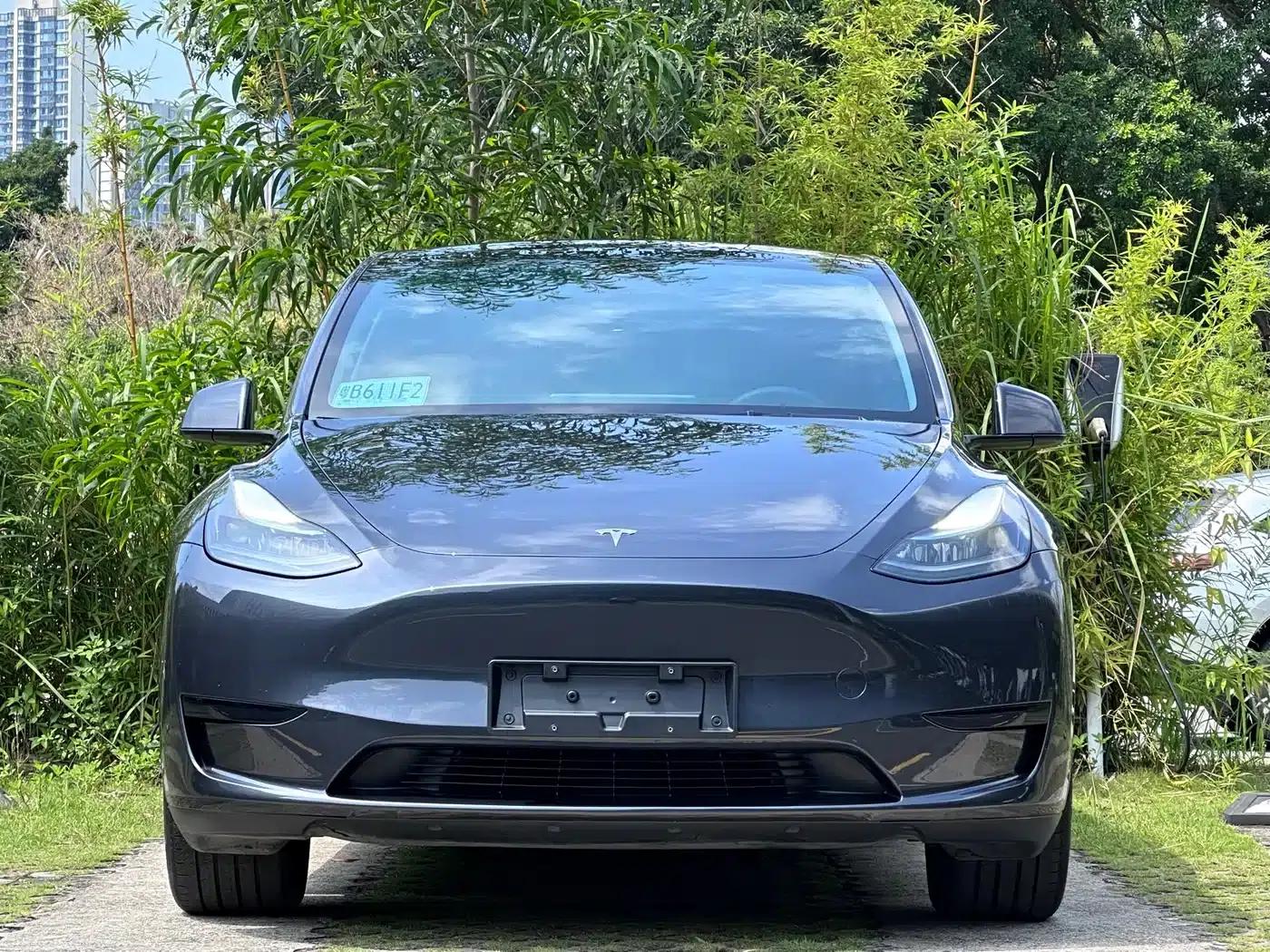 Model Y 2024 Rear-Wheel Drive — миниатюра 2