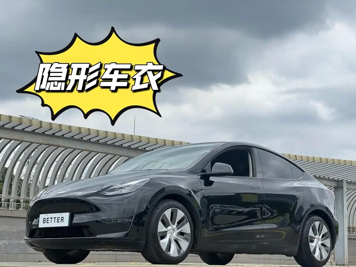Model Y 2021 Standard Range Rear-Wheel Drive — миниатюра 2