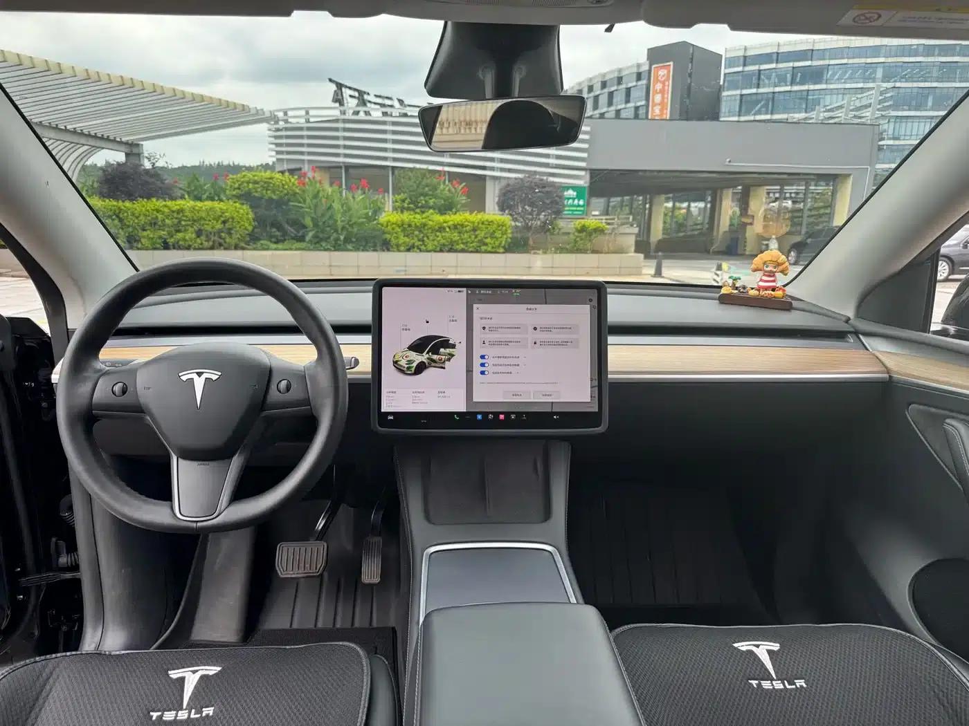 Model Y 2021 Standard Range Rear-Wheel Drive — миниатюра 21