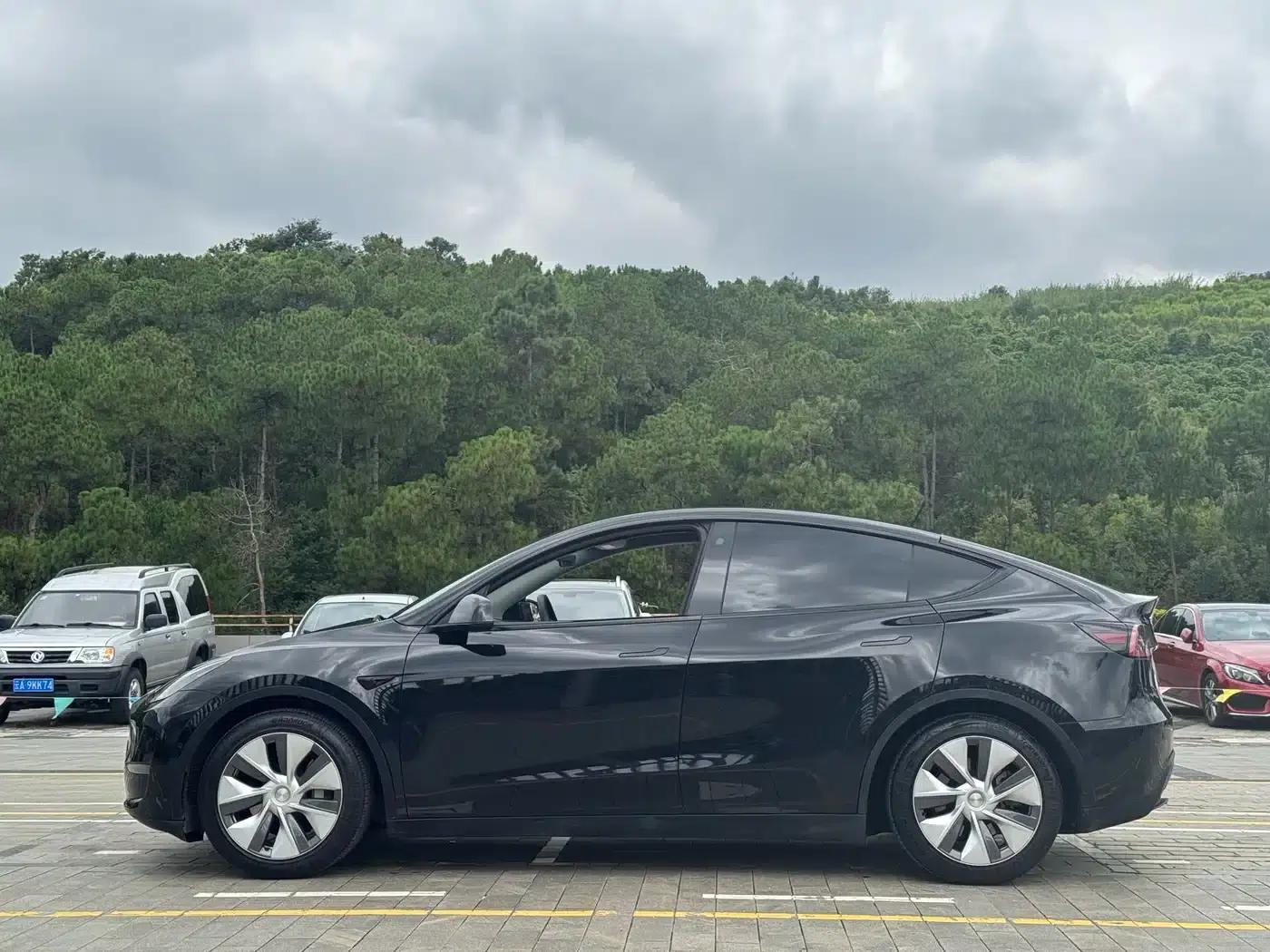 Model Y 2021 Standard Range Rear-Wheel Drive — миниатюра 23