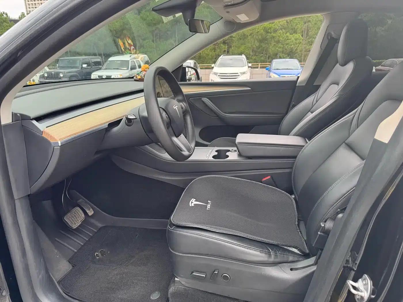 Model Y 2021 Standard Range Rear-Wheel Drive — миниатюра 24