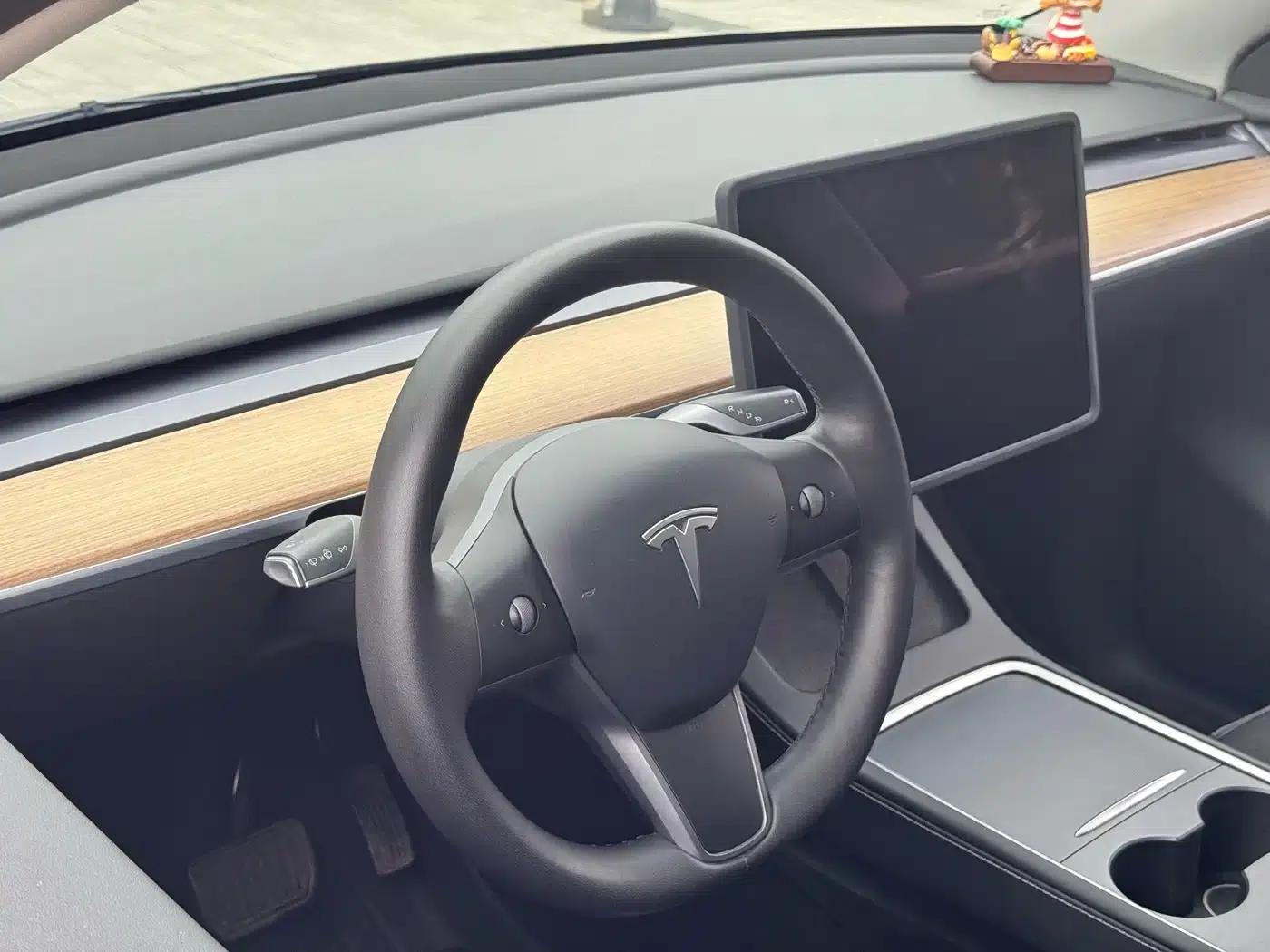 Model Y 2021 Standard Range Rear-Wheel Drive — миниатюра 27