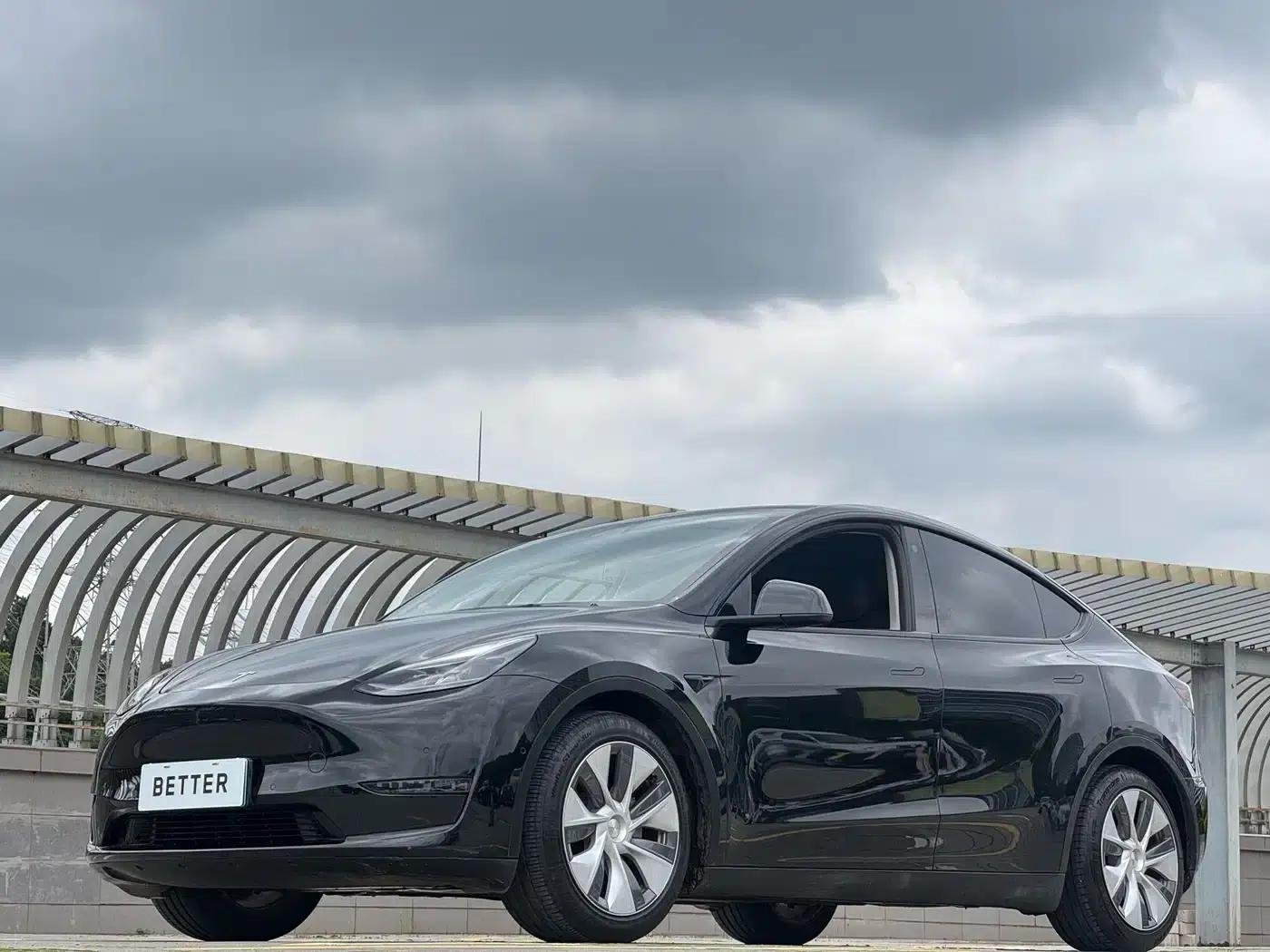 Model Y 2021 Standard Range Rear-Wheel Drive — миниатюра 6