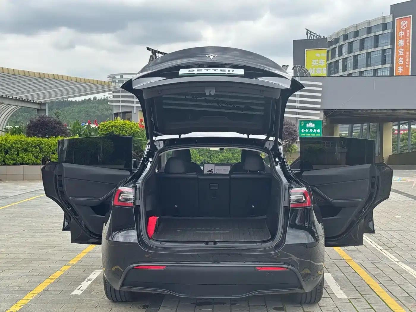 Model Y 2021 Standard Range Rear-Wheel Drive — миниатюра 9