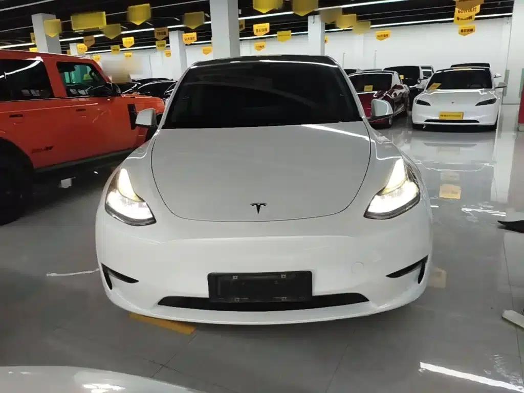 Model Y 2021 Long Range All-Wheel Drive — миниатюра 3