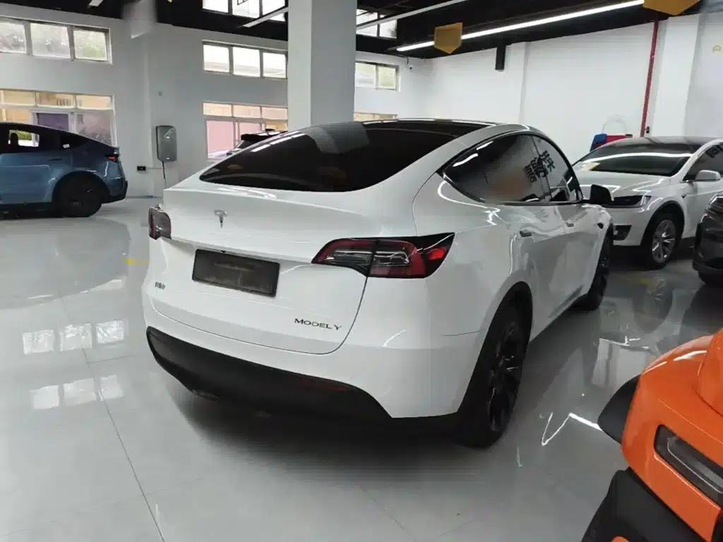Model Y 2021 Long Range All-Wheel Drive — миниатюра 7