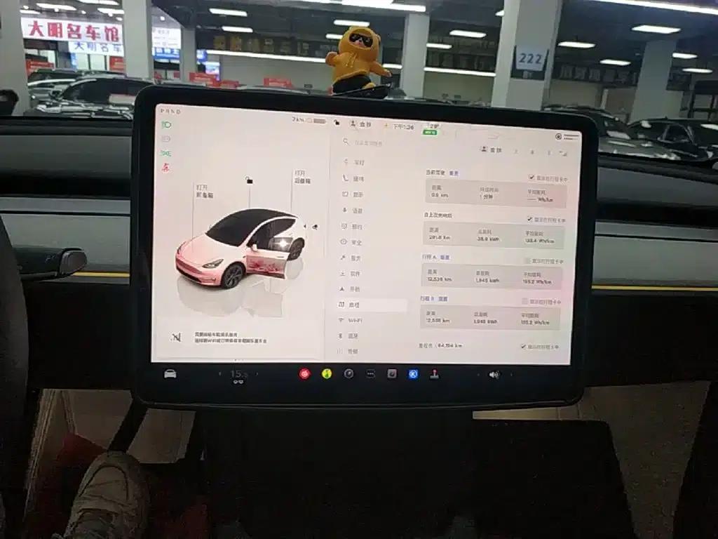 Model Y 2023 Rear-Wheel Drive — миниатюра 13