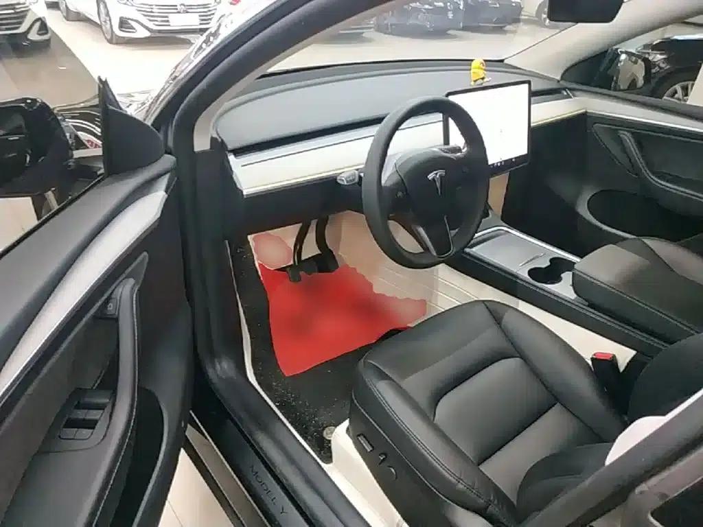 Model Y 2023 Rear-Wheel Drive — миниатюра 16