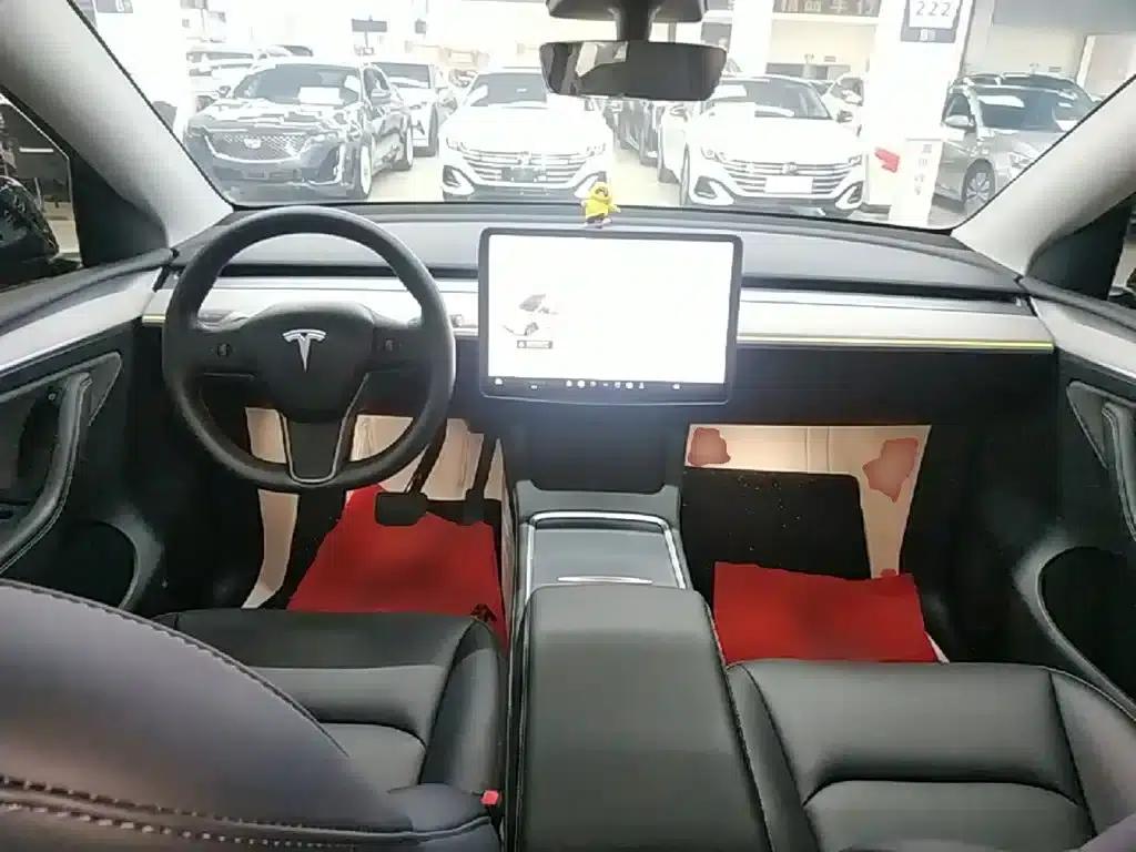 Model Y 2023 Rear-Wheel Drive — миниатюра 10