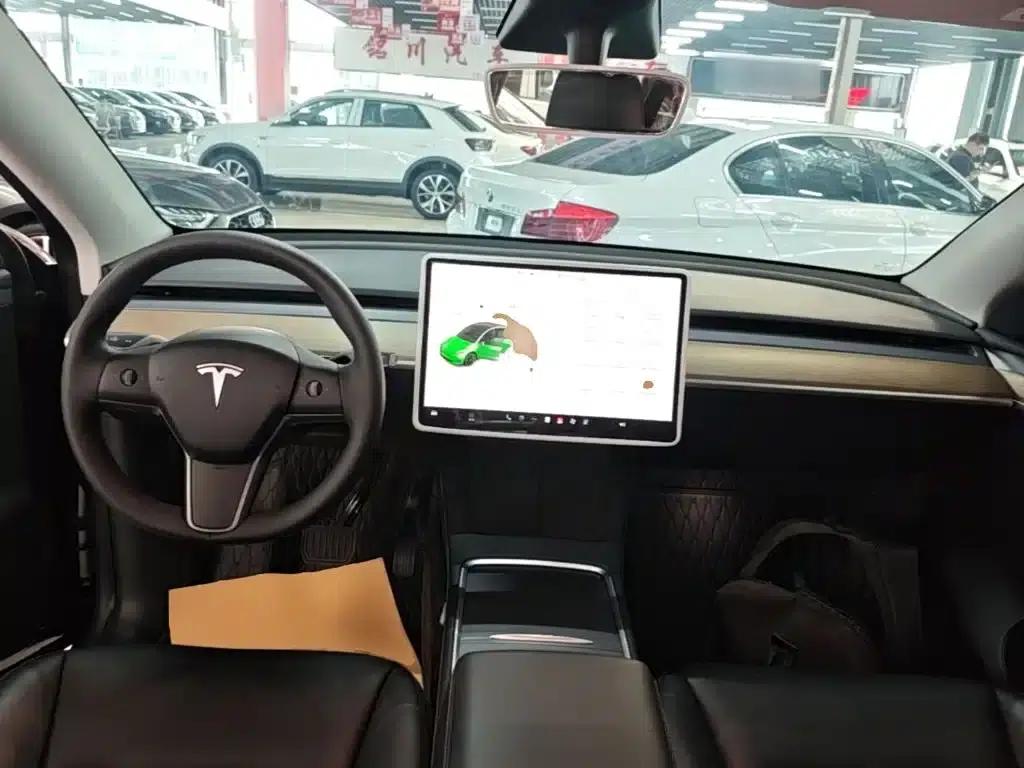 Model Y 2021 Standard Range Rear-Wheel Drive — миниатюра 10