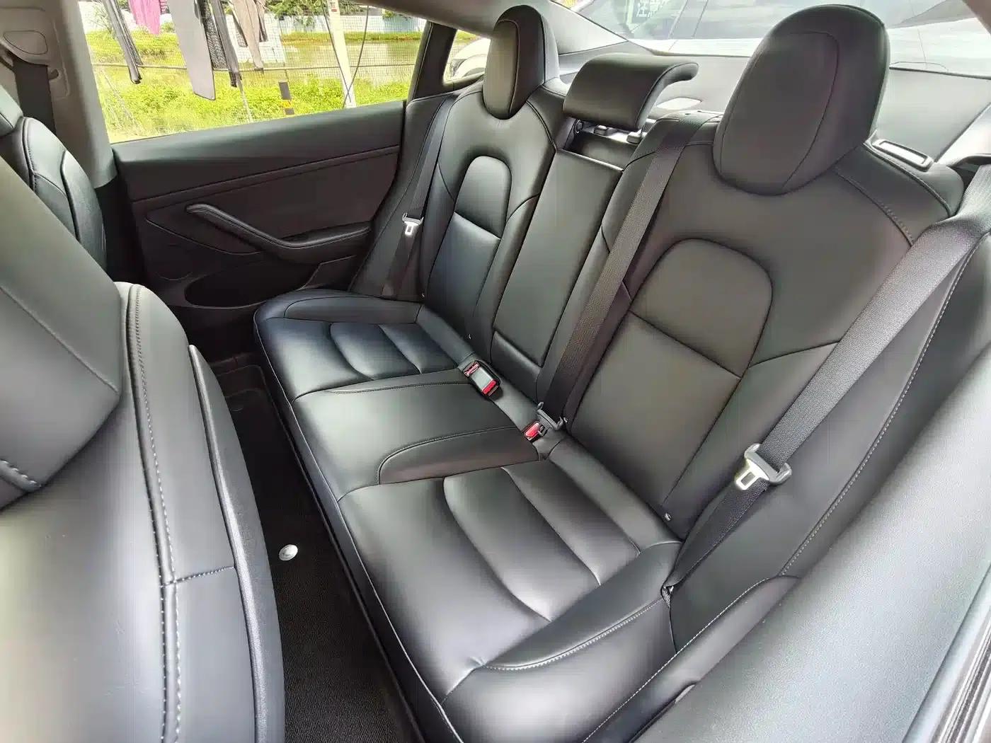 Model 3 2021 Standard Range Rear-Wheel Drive Upgrade 3D6 — миниатюра 11
