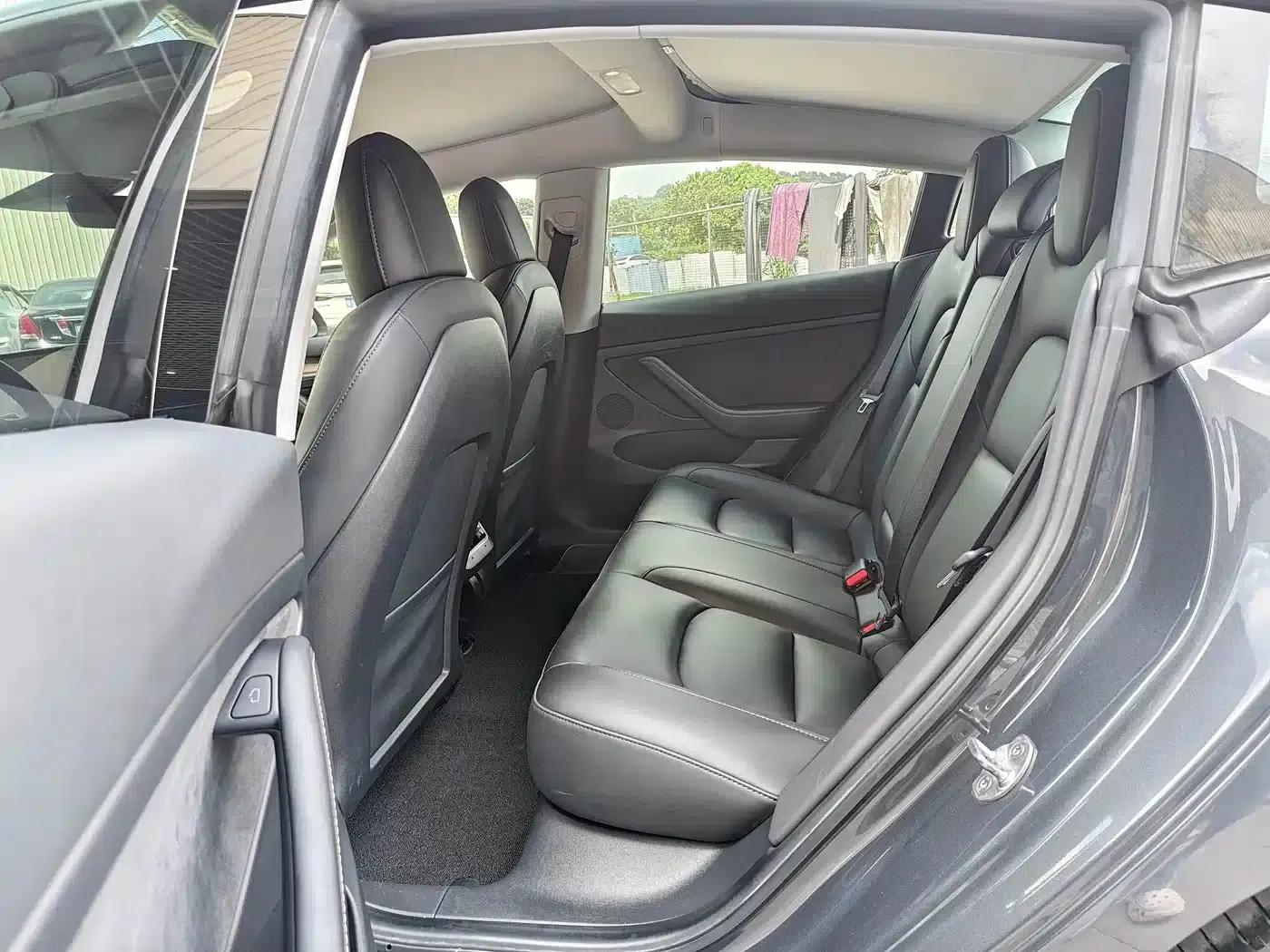 Model 3 2021 Standard Range Rear-Wheel Drive Upgrade 3D6 — миниатюра 13